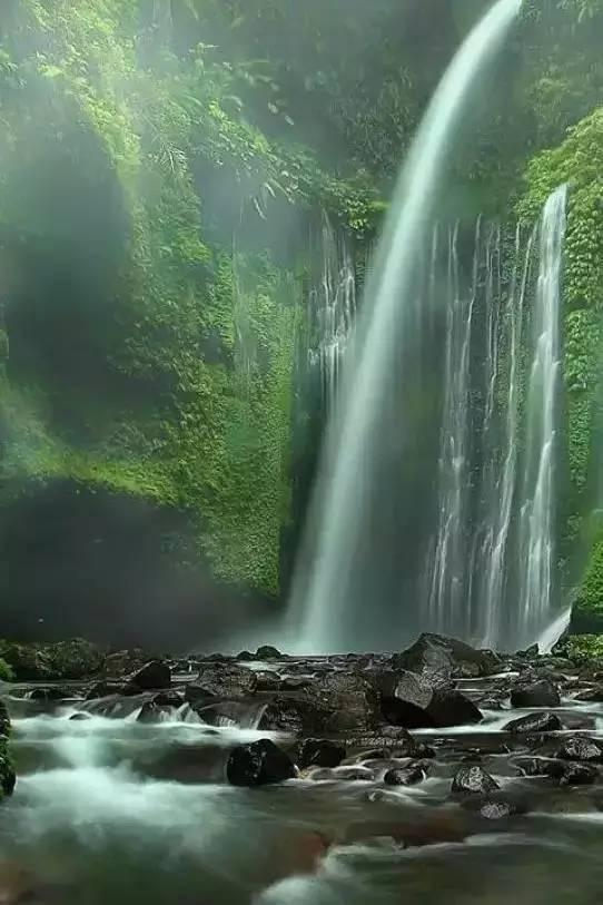 燃烧吧大脑装瓶子游戏