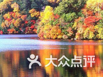 她是红楼梦晴雯扮演者,被丈夫宠爱23年,晚年负债累累无家可归