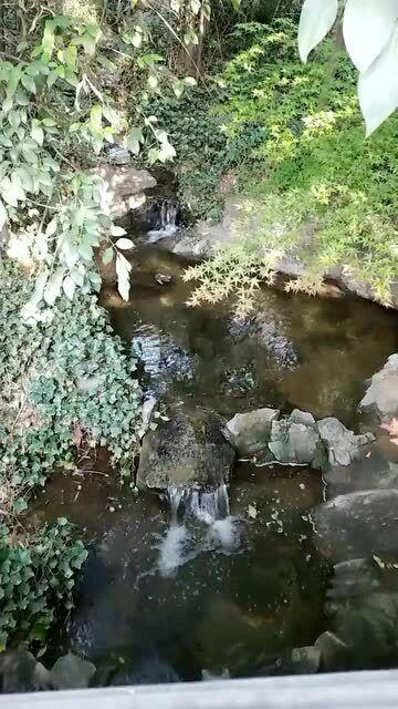 月光影视