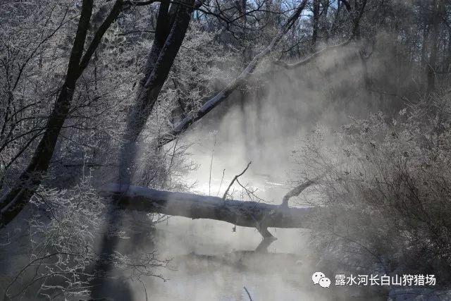 救援选美皇后