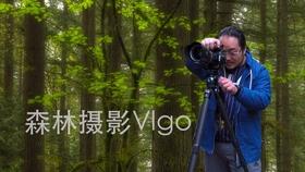 夏日课堂