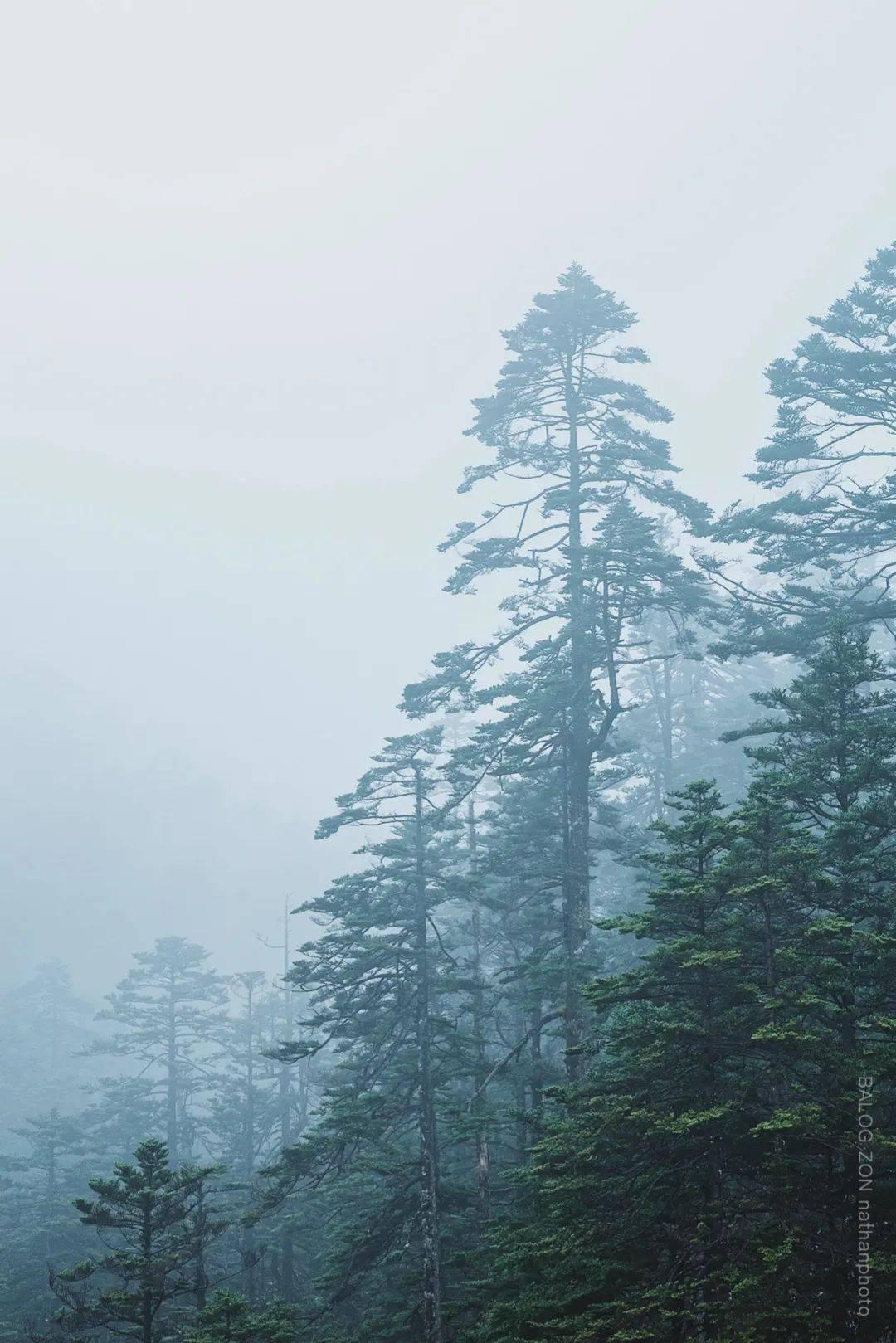 一月中下旬,爱情如意的星座,红线搭桥,故人依旧,良缘伴左右