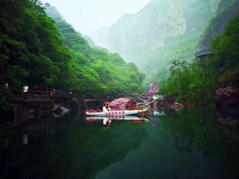 逃离橡子树种植地