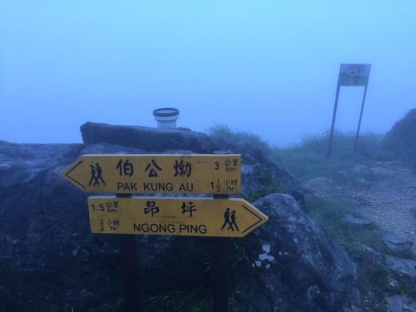 为巴菲特一旦减持留后手 日本商社努力实现投资者多元化