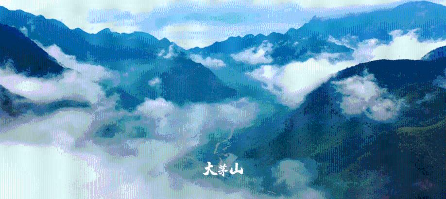 又一部内地上映不了的新片,爆了