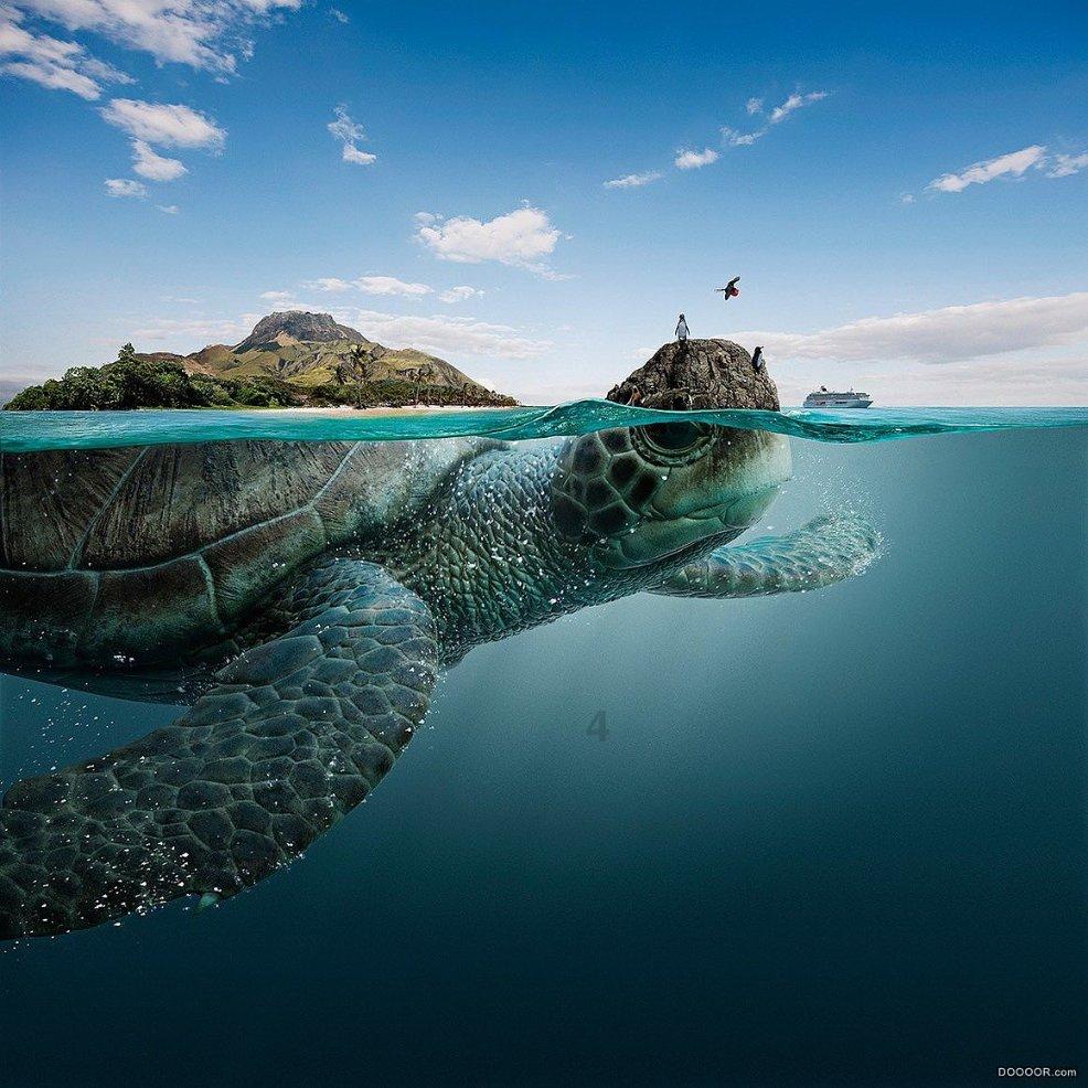 海底的秘密