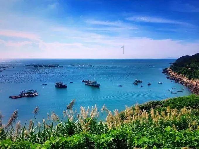 探索知识的乐园-易建联眼睛被打肿,怎么回事?