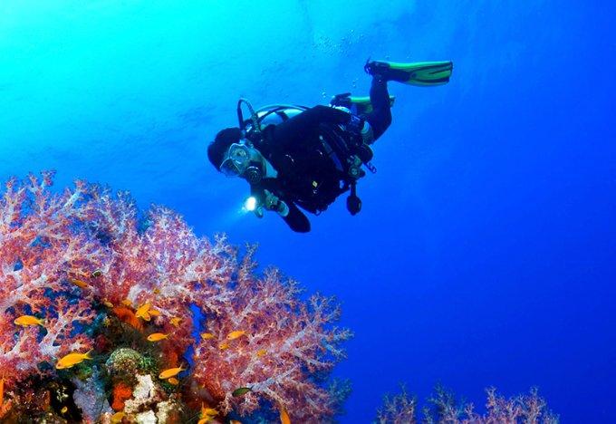 如何注销电动自行车车牌号?如何异地换证?海南交警最新解答→