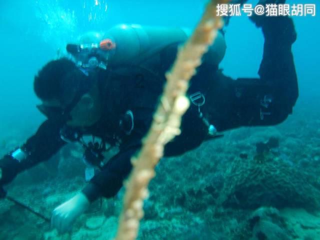 “青”眼最泉州丨寺门悠静倒莲花 古韵流传盈海涯