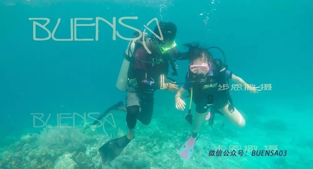 细胞分裂6