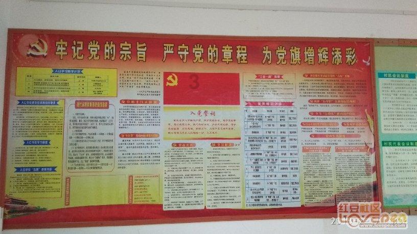 旁观者