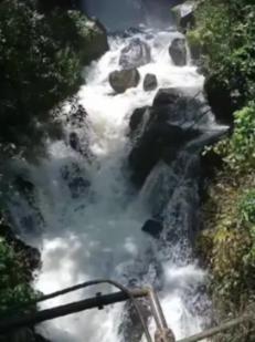 澳洲皮草