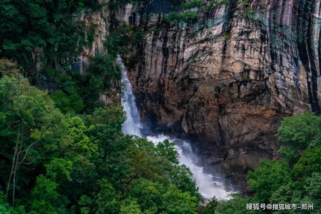 如果可以重新选择,我们会……