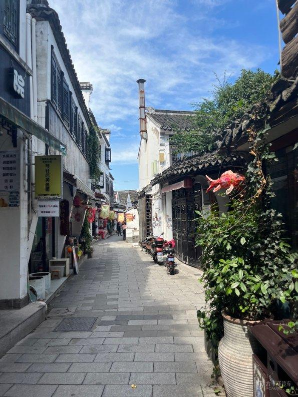 婆婆总是说不会拿钱给女儿游戏画面