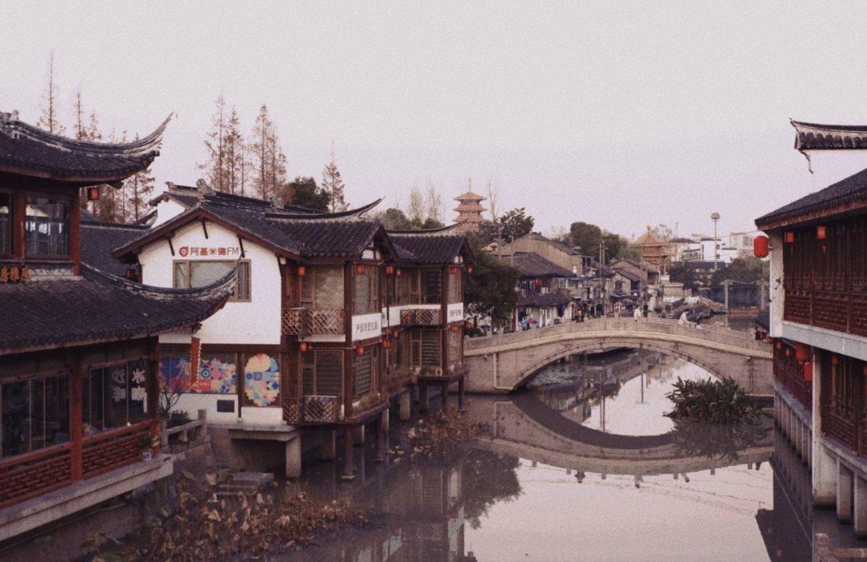 救援受困的鬃狼