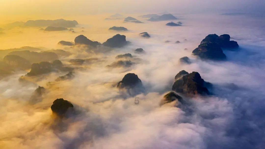 逃出猫头鹰岛